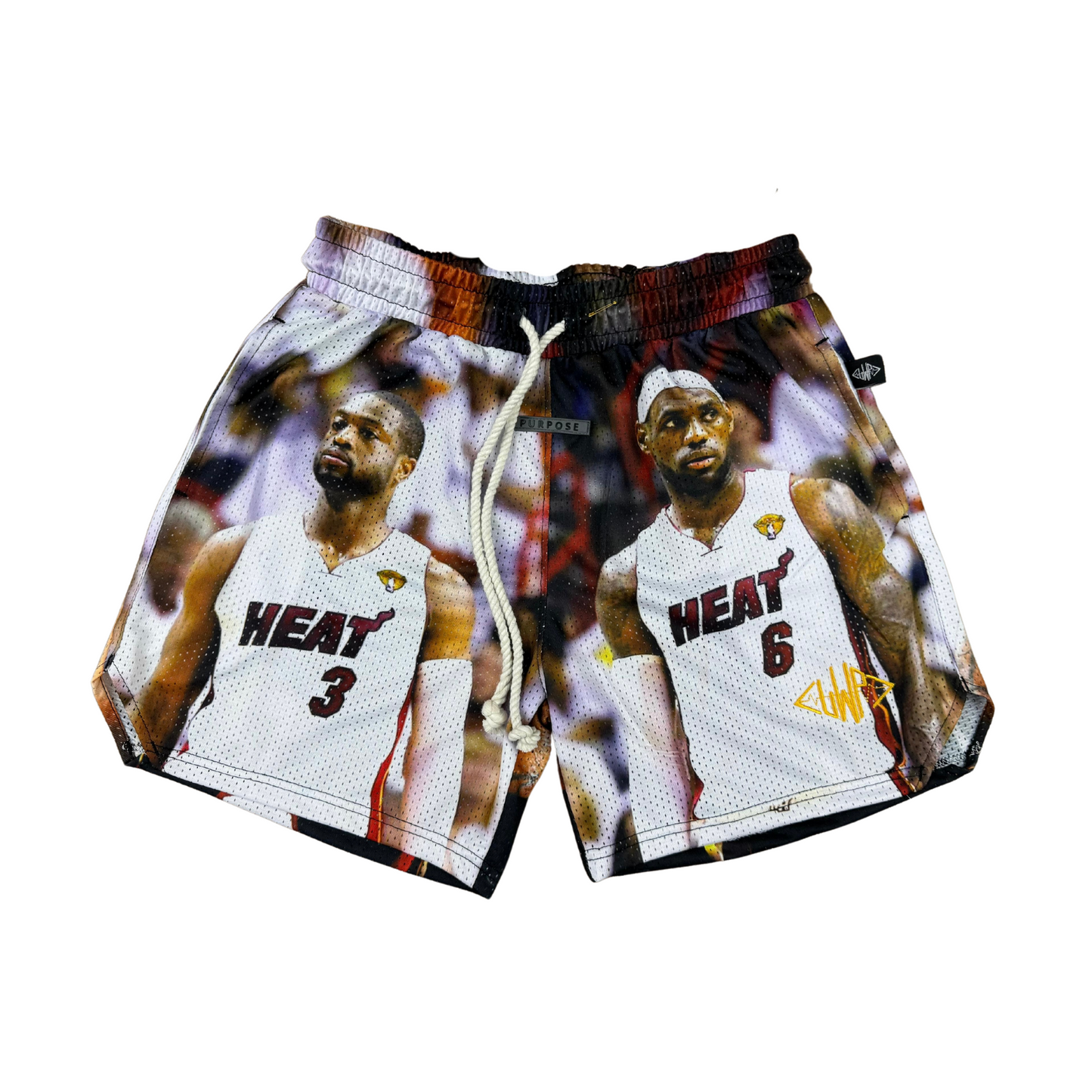 LeBron/Wade Shorts